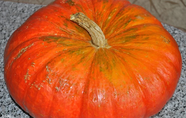 где хранить тыкву в квартире