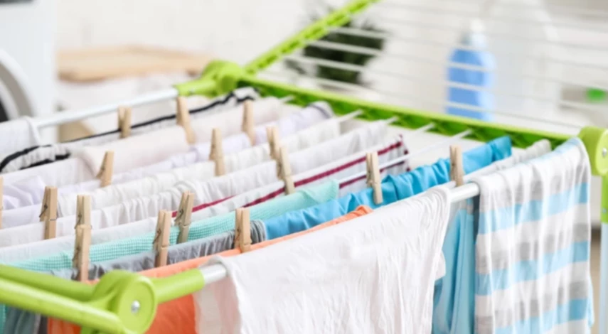 как повысить влажность для цветов