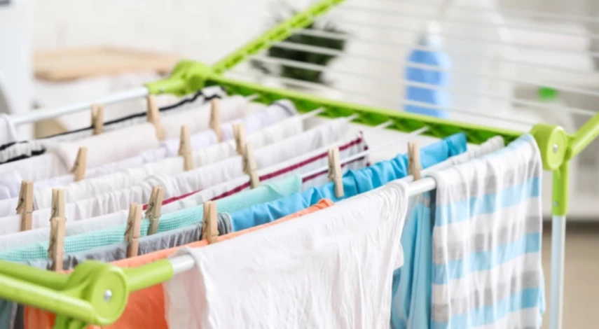 увлажнение цитрусовых зимой