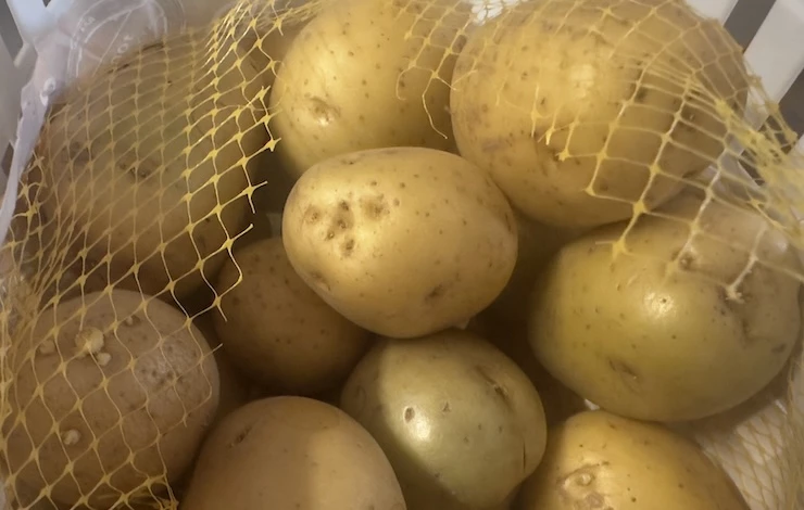 хранение картофеля дома