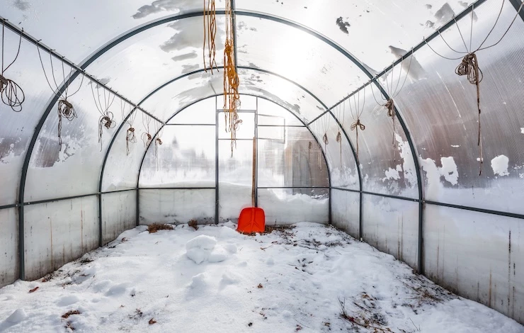 работы в теплице зимой