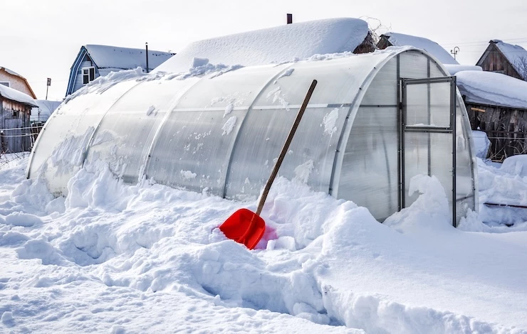 что делать в теплице зимой
