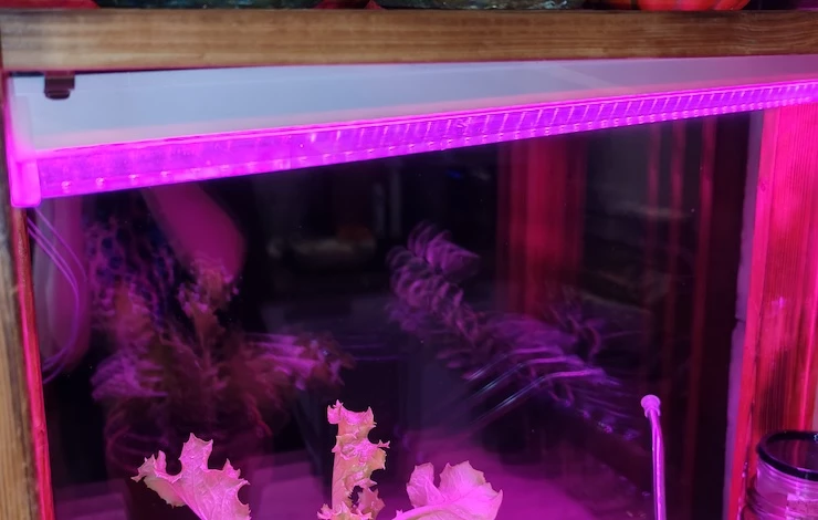 мини-тепличка для зелени в домашних условиях