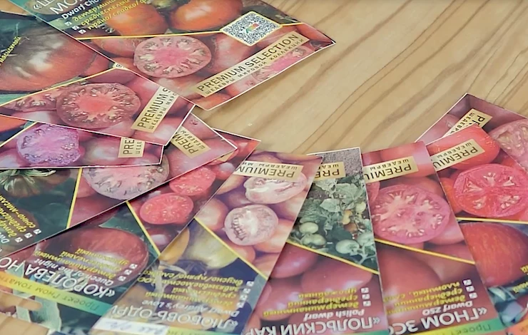 лучшие сорта томатов 2026